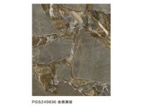 PGS249836金誉满堂